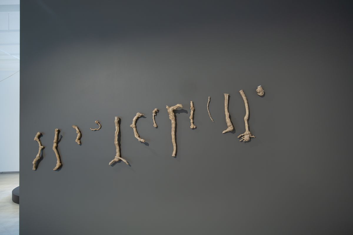 TarraWarra Biennial 2021: Slow Moving Waters