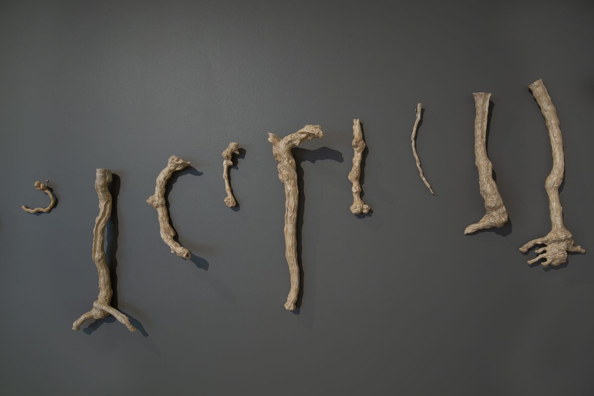 TarraWarra Biennial 2021: Slow Moving Waters