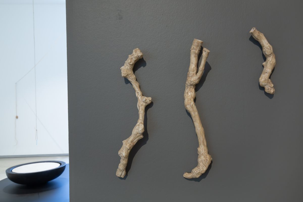 TarraWarra Biennial 2021: Slow Moving Waters