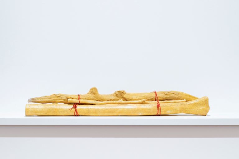 Yasmin Smith, Bundle of Ntaria branches 9, 2020