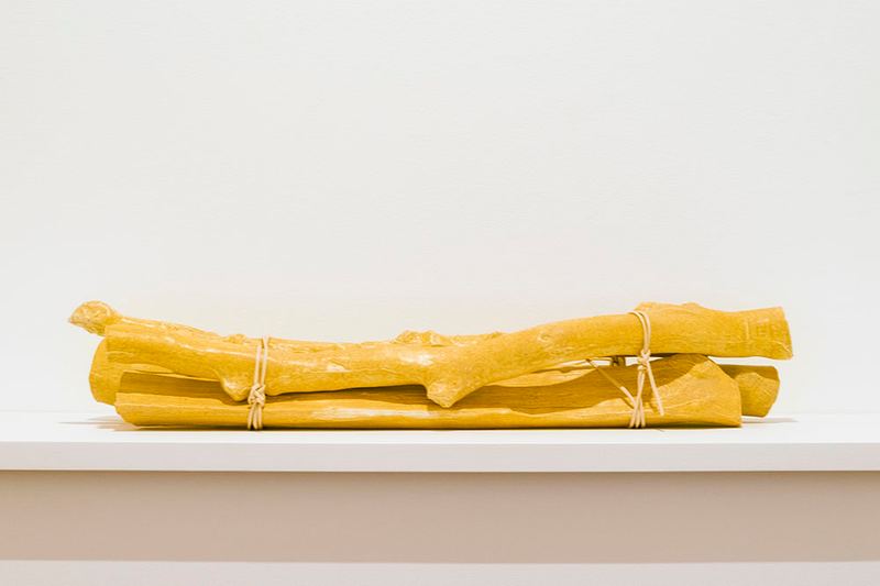 Yasmin Smith, Bundle of Ntaria branches 10, 2020