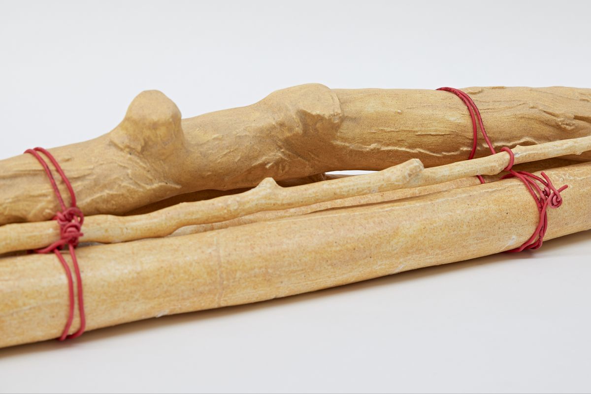 Bundle of Ntaria branches 9