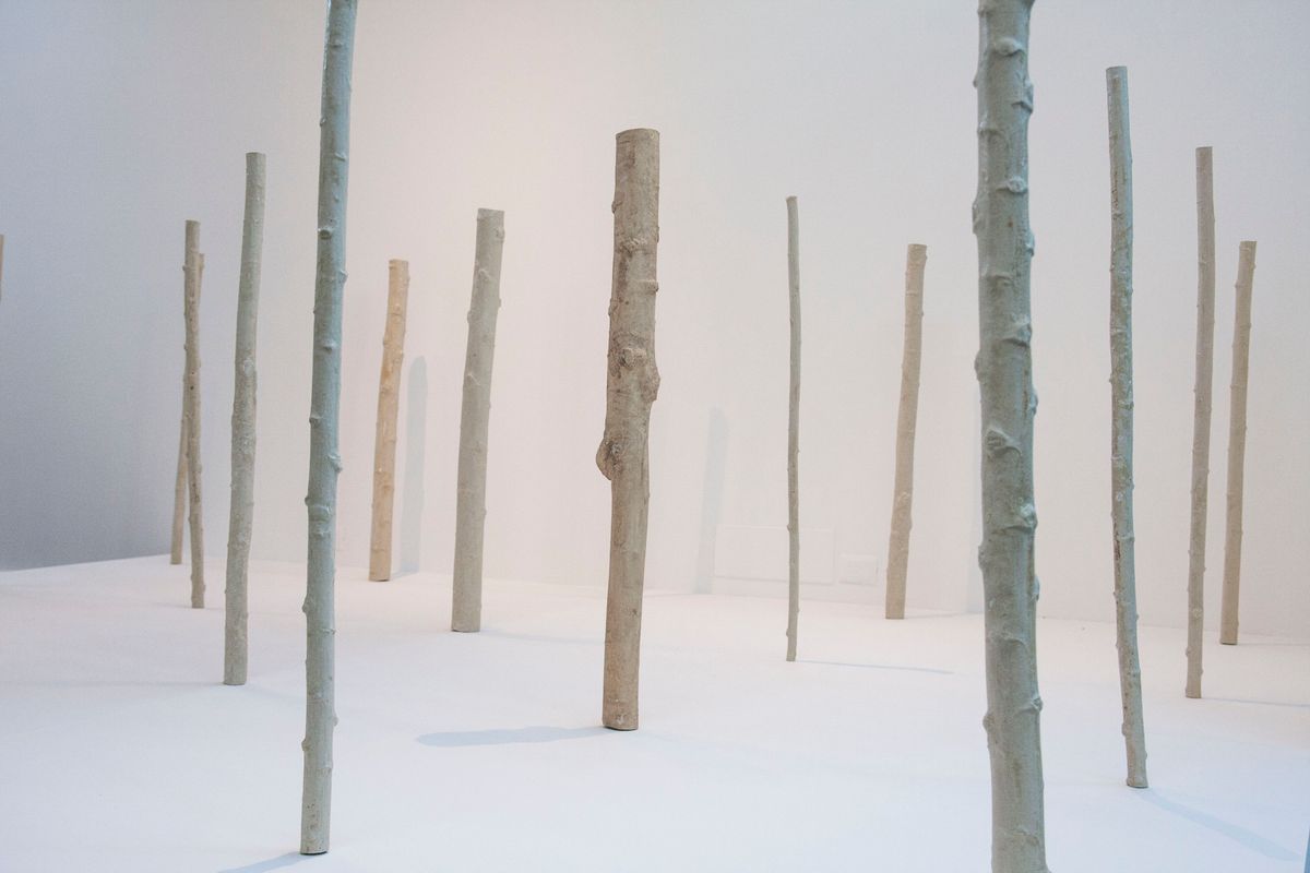 Sustaining Assembly - Pratiche artistic per una transizione ecologica dal basso