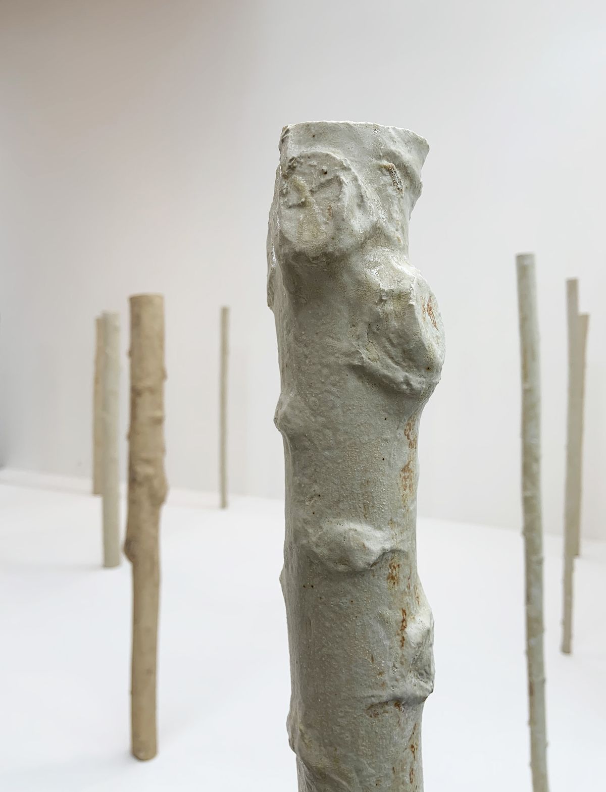 Sustaining Assembly - Pratiche artistic per una transizione ecologica dal basso