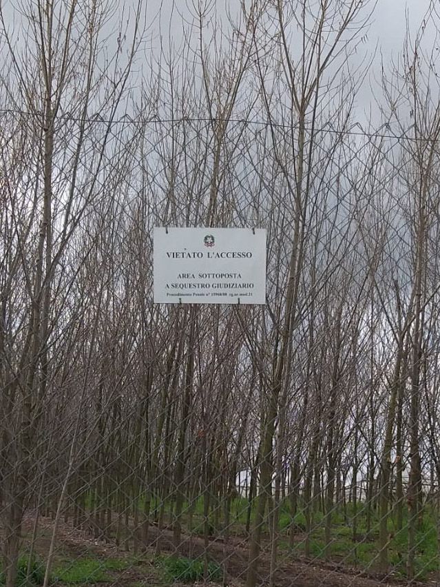 Sustaining Assembly - Pratiche artistic per una transizione ecologica dal basso