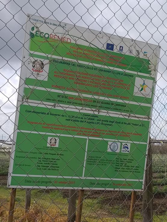 Sustaining Assembly - Pratiche artistic per una transizione ecologica dal basso