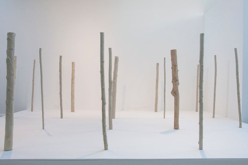 Sustaining Assembly - Pratiche artistic per una transizione ecologica dal basso