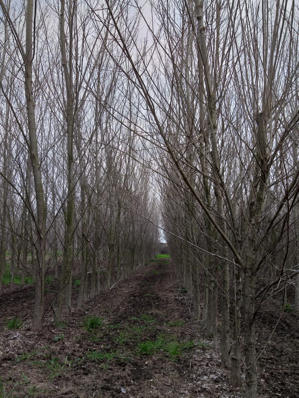 Sustaining Assembly - Pratiche artistic per una transizione ecologica dal basso