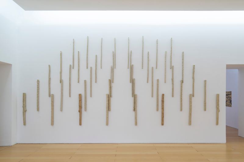 Yasmin Smith, Terra Dei Fuochi, 2021