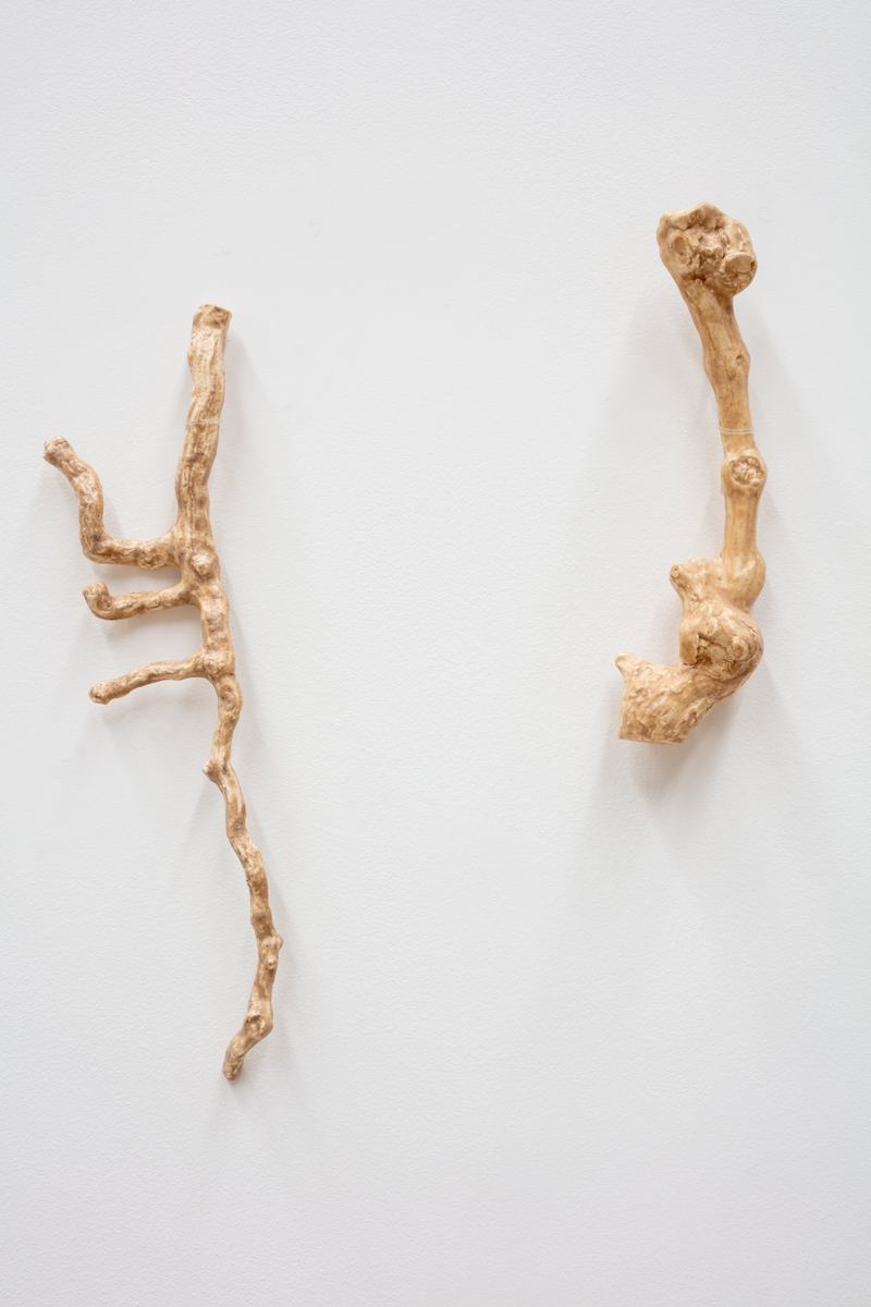 Yasmin Smith, Terroir, 2020