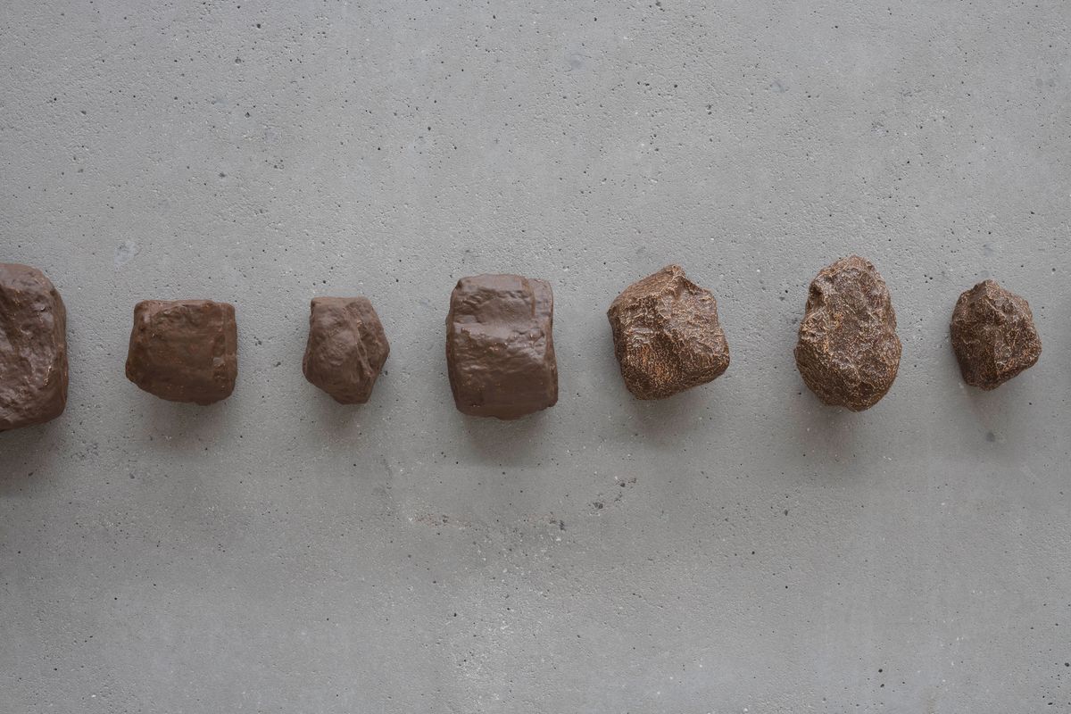 Yasmin Smith: Forest