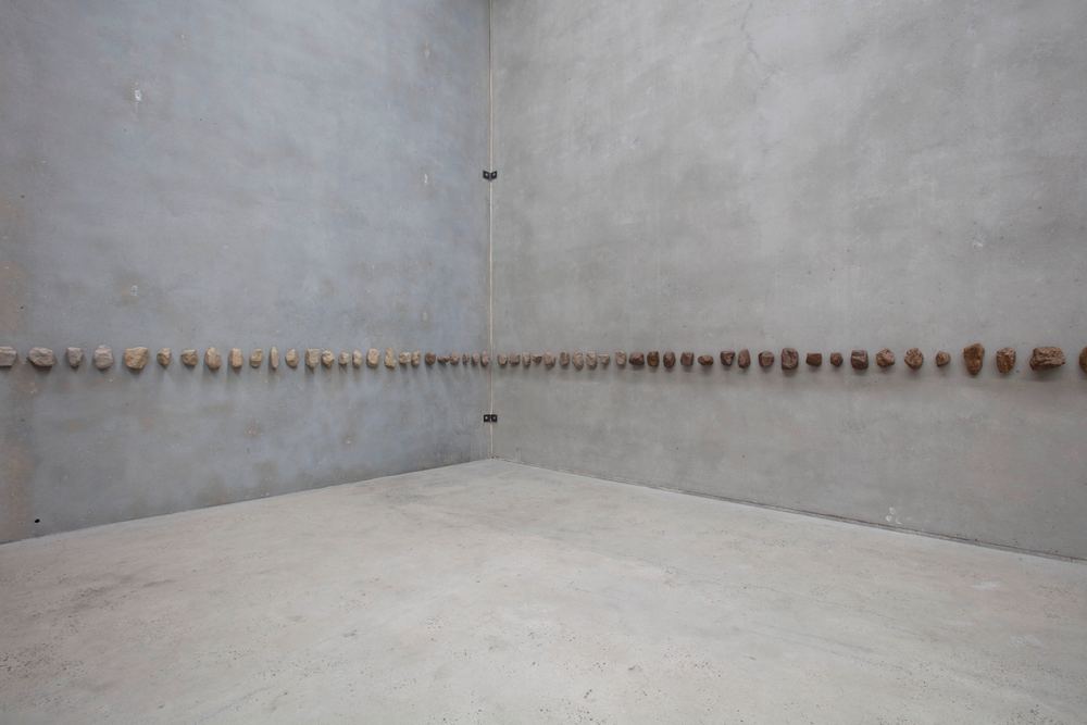 Yasmin Smith: Forest