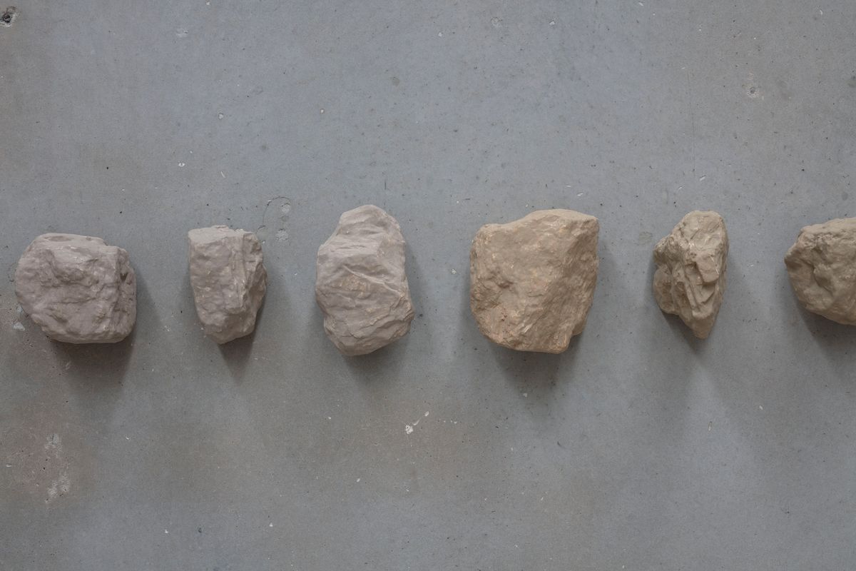 Yasmin Smith: Forest