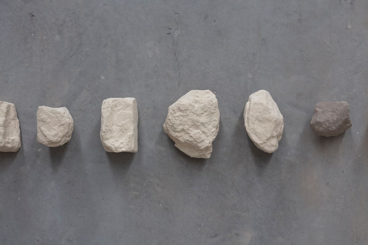 Yasmin Smith: Forest