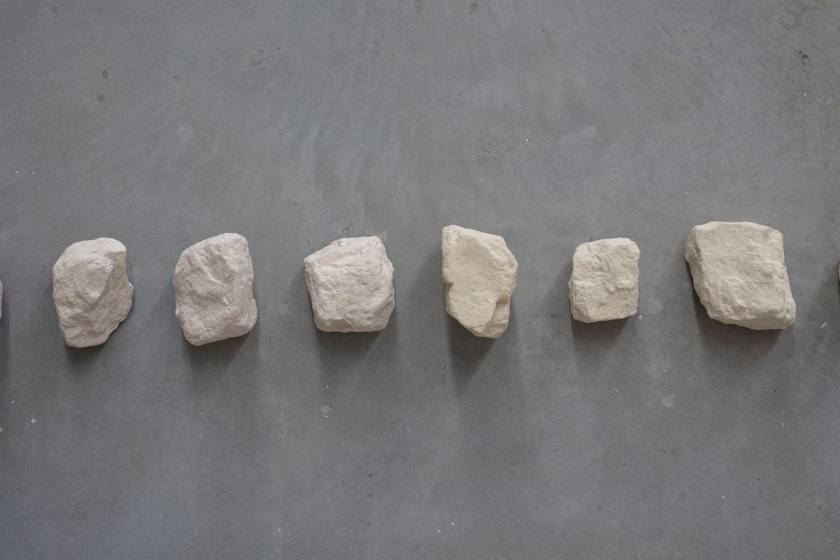 Yasmin Smith: Forest