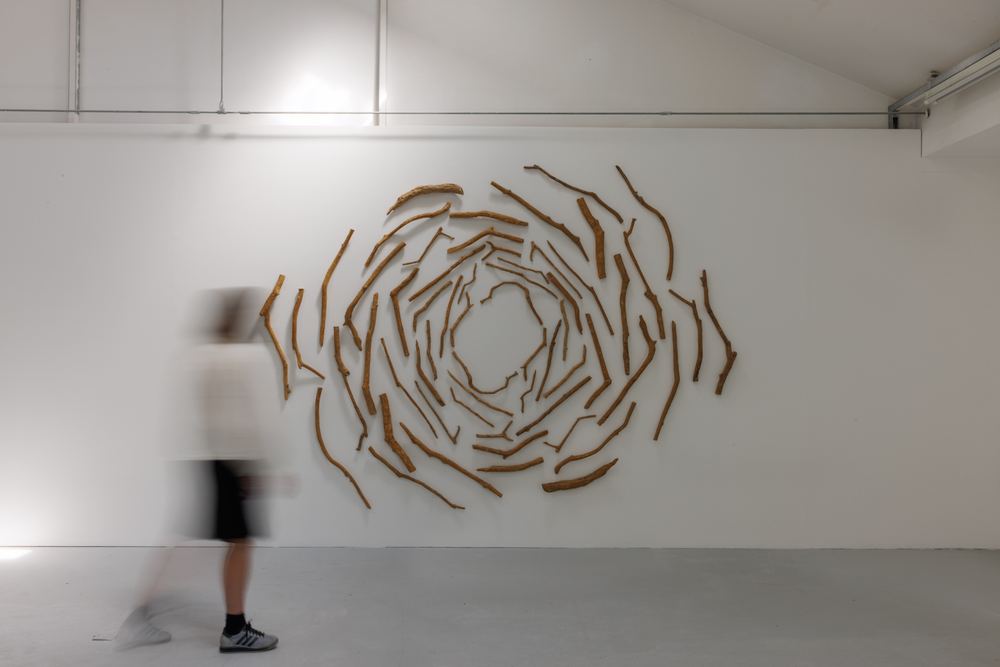 MA Art and Ecology Degree Show