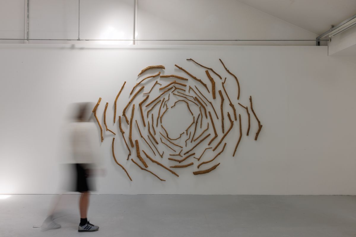 MA Art and Ecology Degree Show