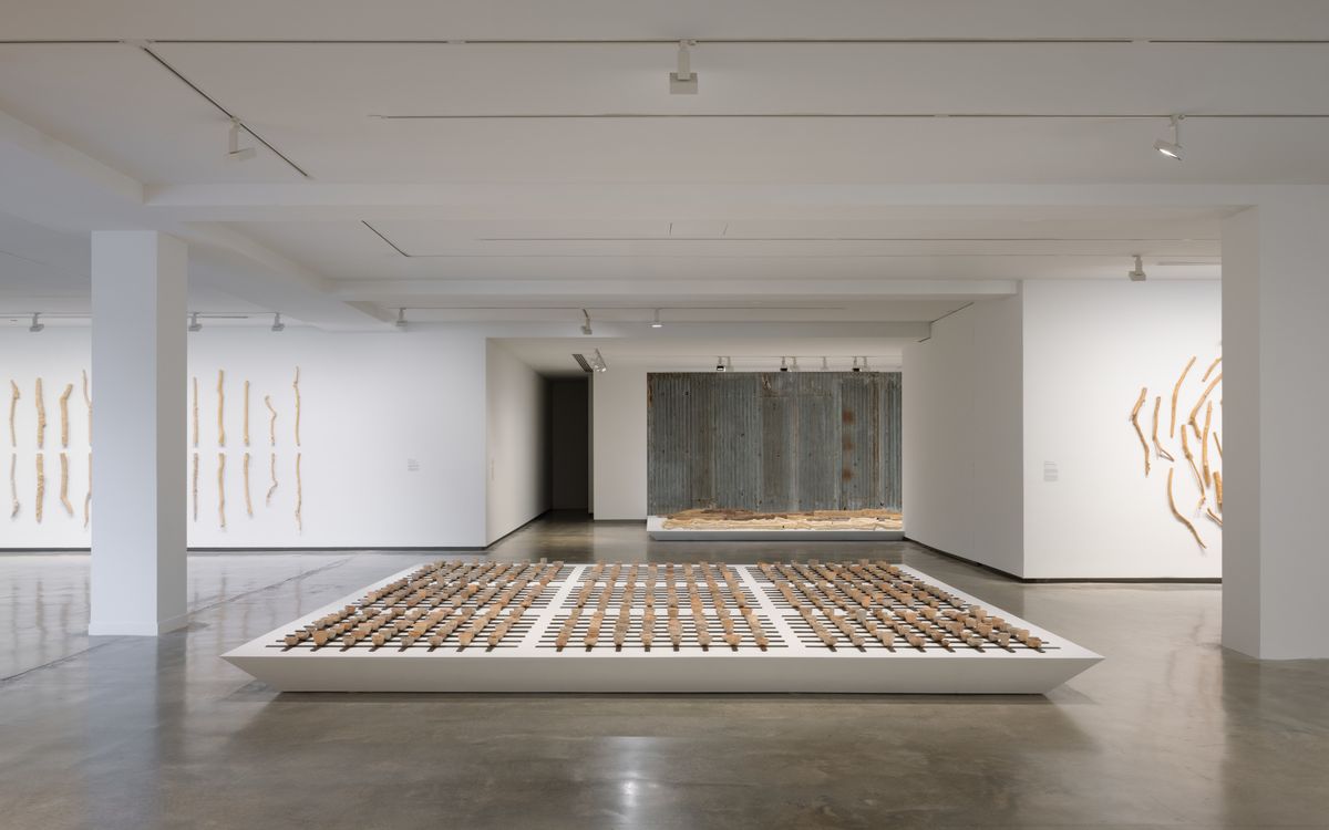 Yasmin Smith: Elemental Life