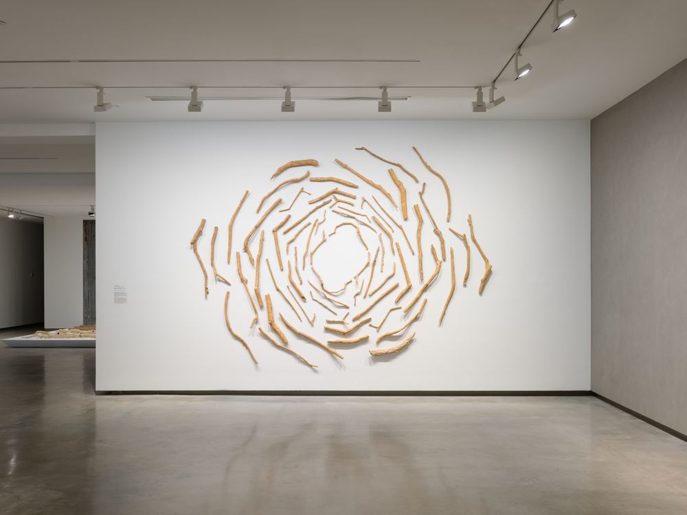 Yasmin Smith: Elemental Life