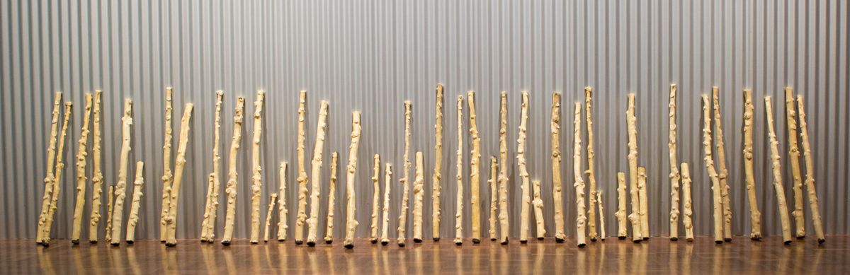 The 2017 Sidney Myer Fund Australian Ceramic Award