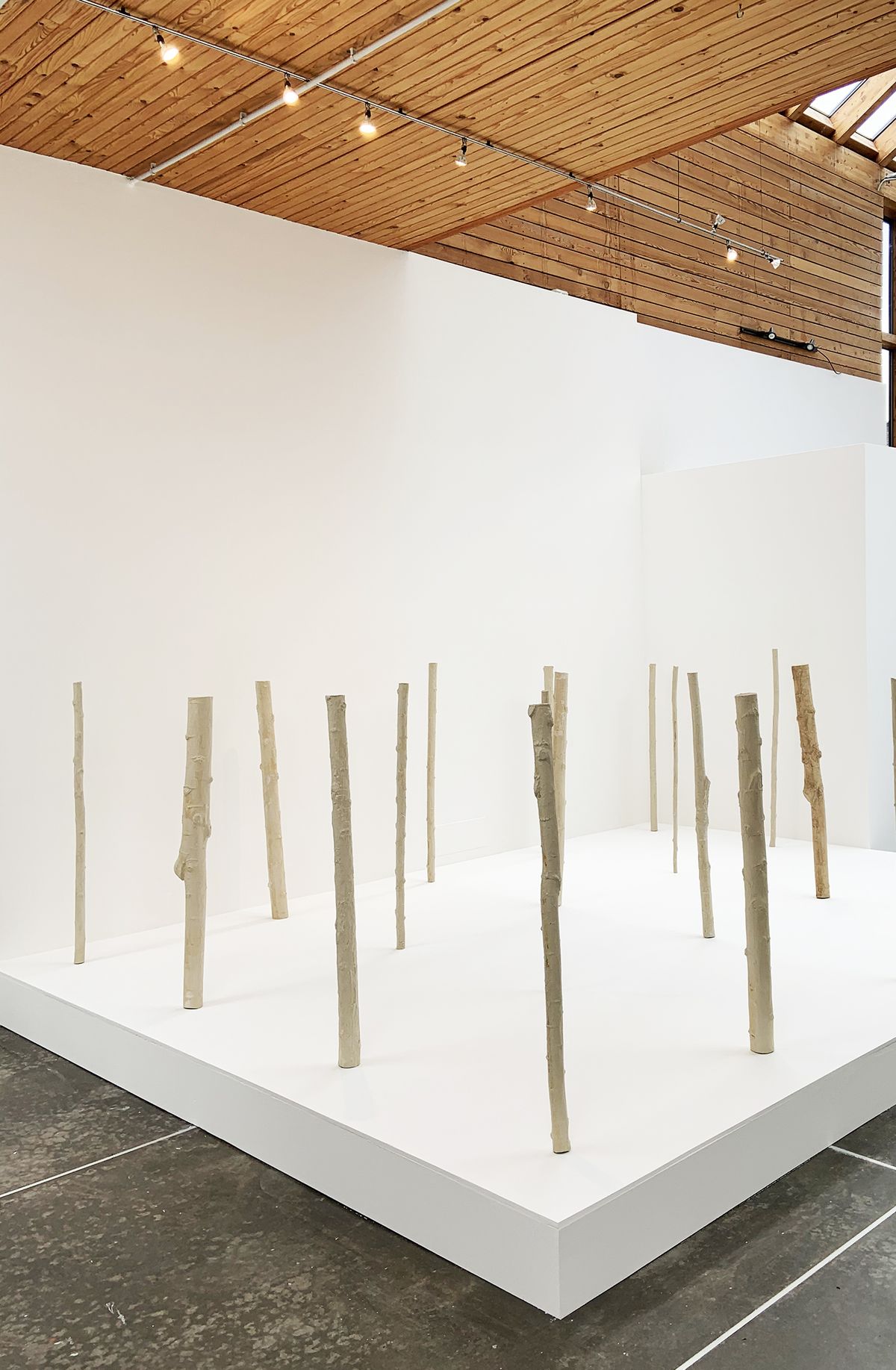 Sustaining Assembly - Pratiche artistic per una transizione ecologica dal basso