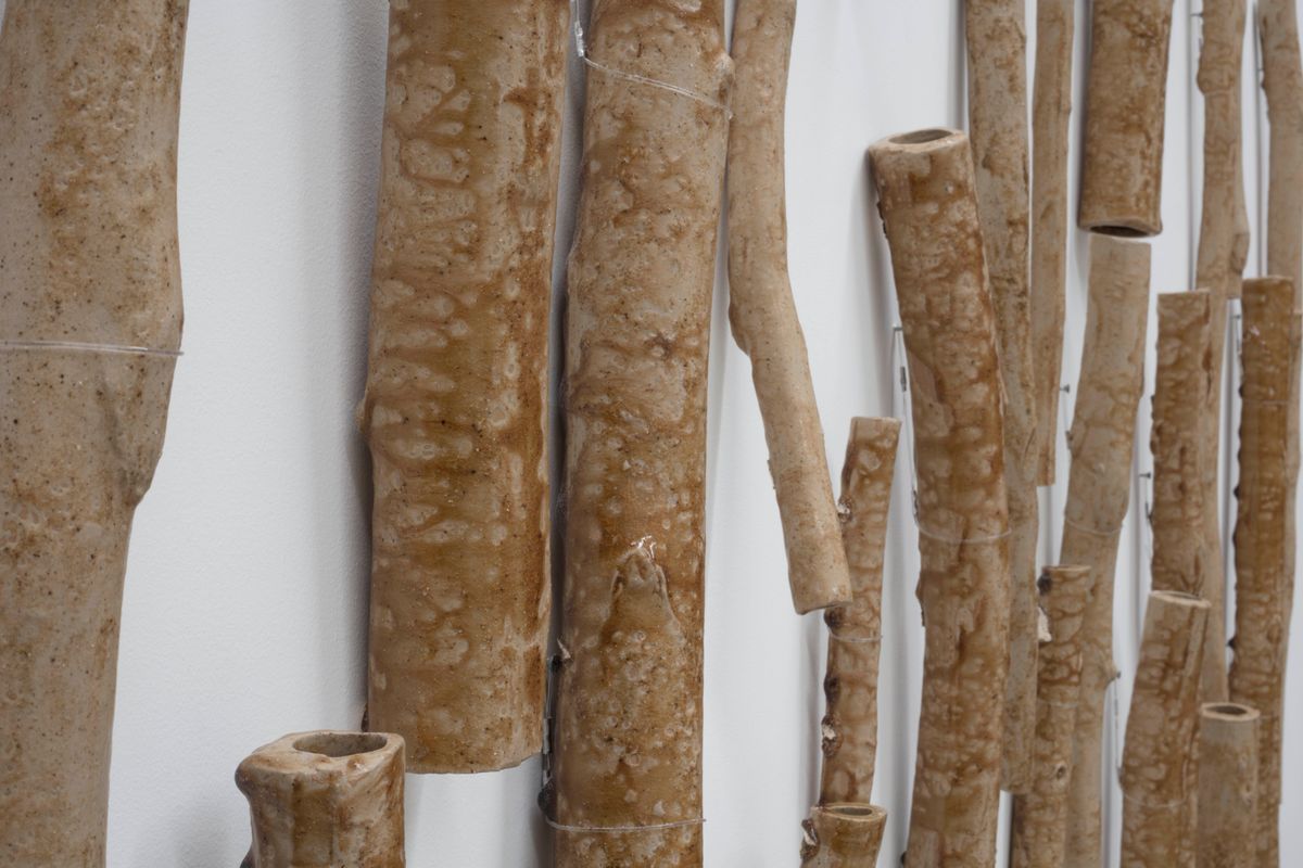 Flooded Rose Red Basin (Flooded Gum)