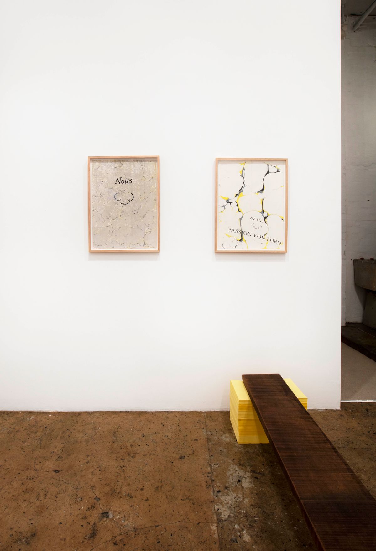 Agatha Gothe-Snape: Volatile Medium