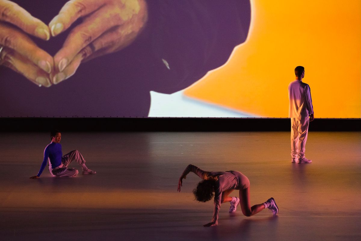 Agatha Gothe-Snape: Rhetorical Chorus