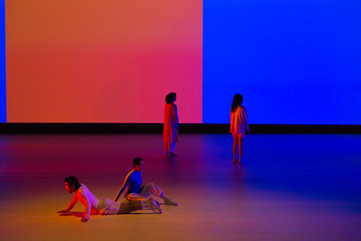 Agatha Gothe-Snape: Rhetorical Chorus