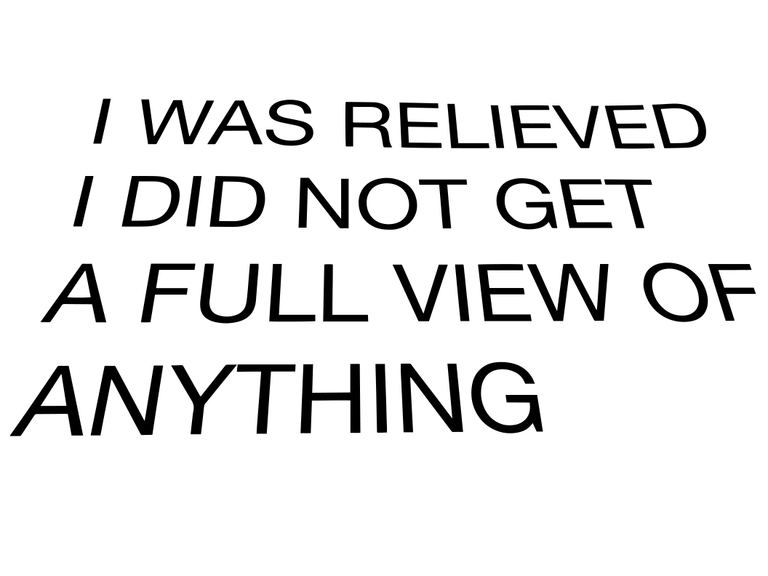 Agatha Gothe-Snape, Full View, 2014