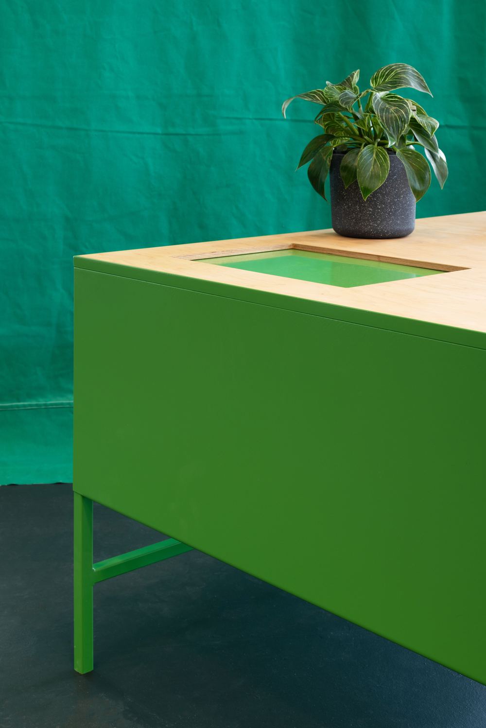 Agatha Gothe-Snape: IT IS THE COLOUR OF AN IDEA THAT WILL NOT COMPLETE ITSELF IN OUR LIFETIME