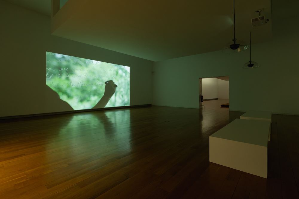 Narelle Jubelin: Nalgures