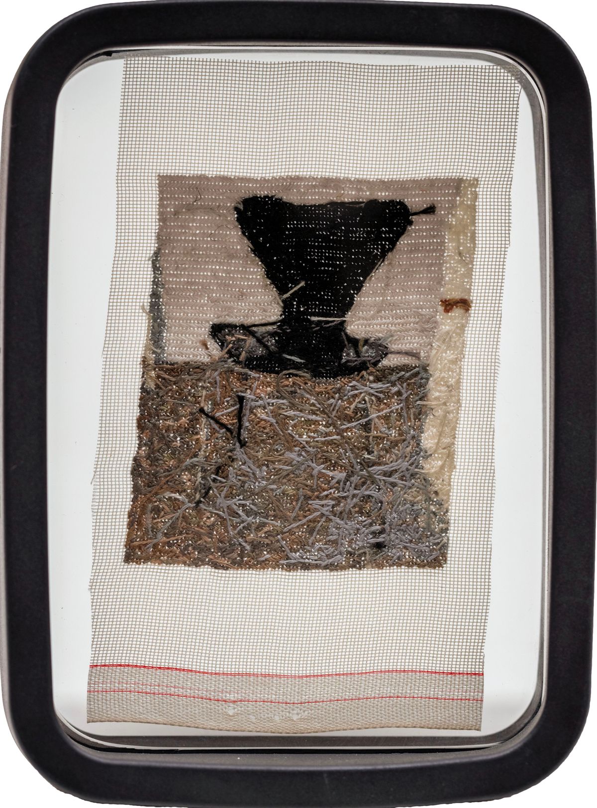 Series 7 chair by Arne Jacobsen