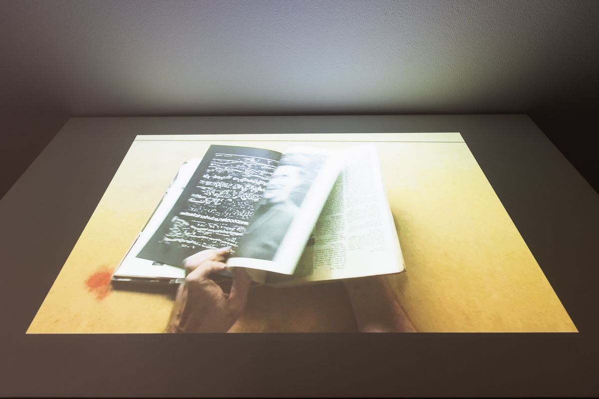 Narelle Jubelin: Nalgures