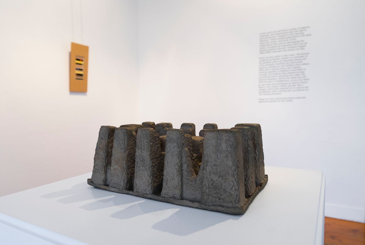 The Housing Question: Helen Grace and Narelle Jubelin