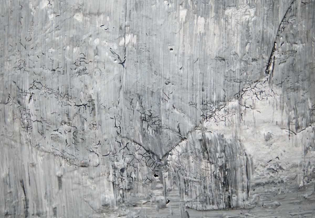 An impresario and a small turtle gamble in the moonlight/does sitting count as waiting?