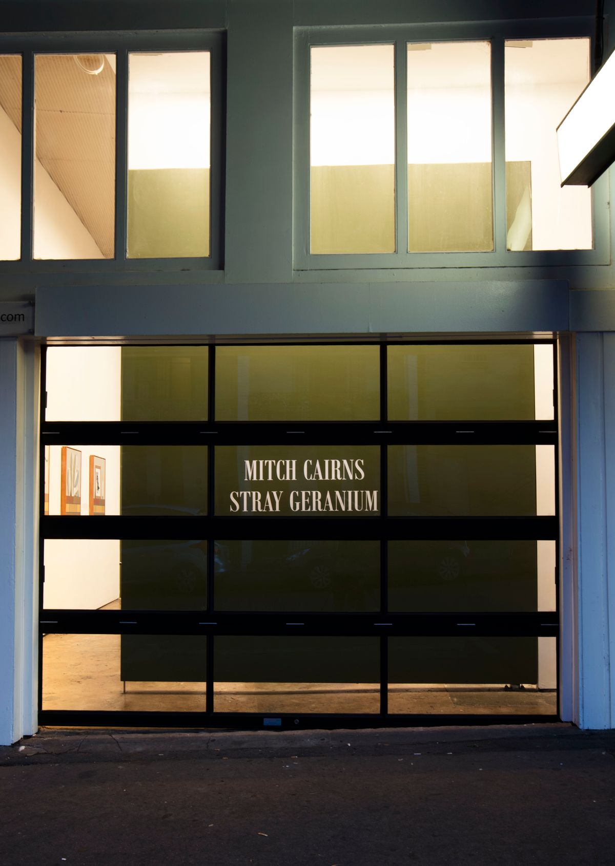 Mitch Cairns: Stray Geranium