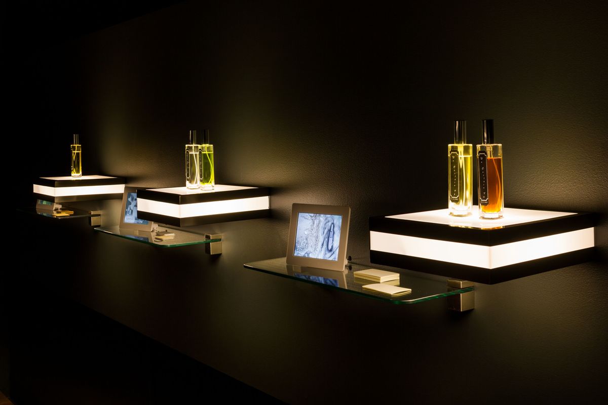 Archie Moore: Les Eaux d'Amoore