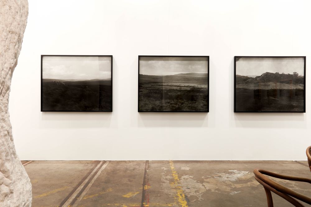 Sydney Contemporary