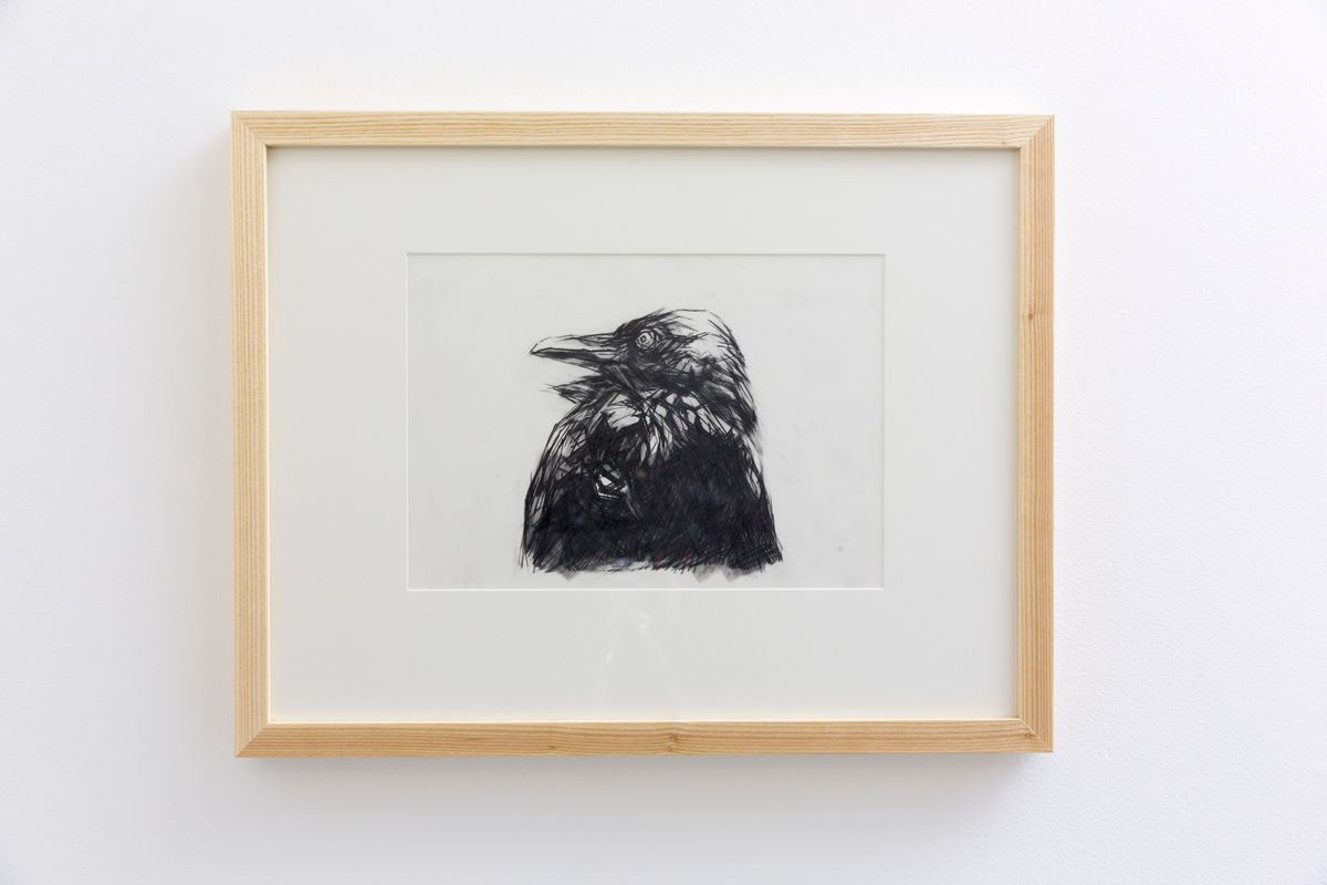 Judo house part 6 (the white bird)