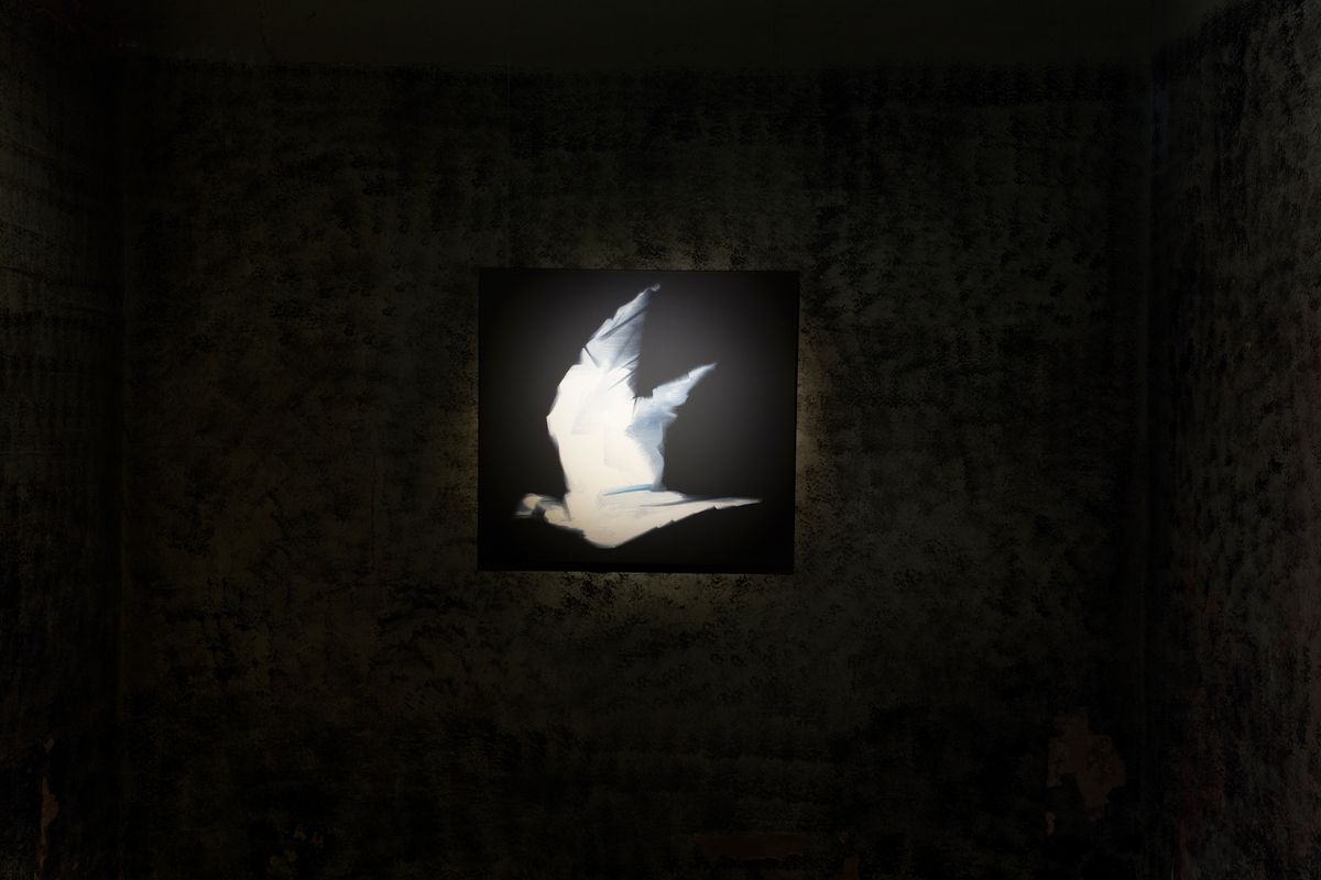 Judo house part 6 (the white bird)