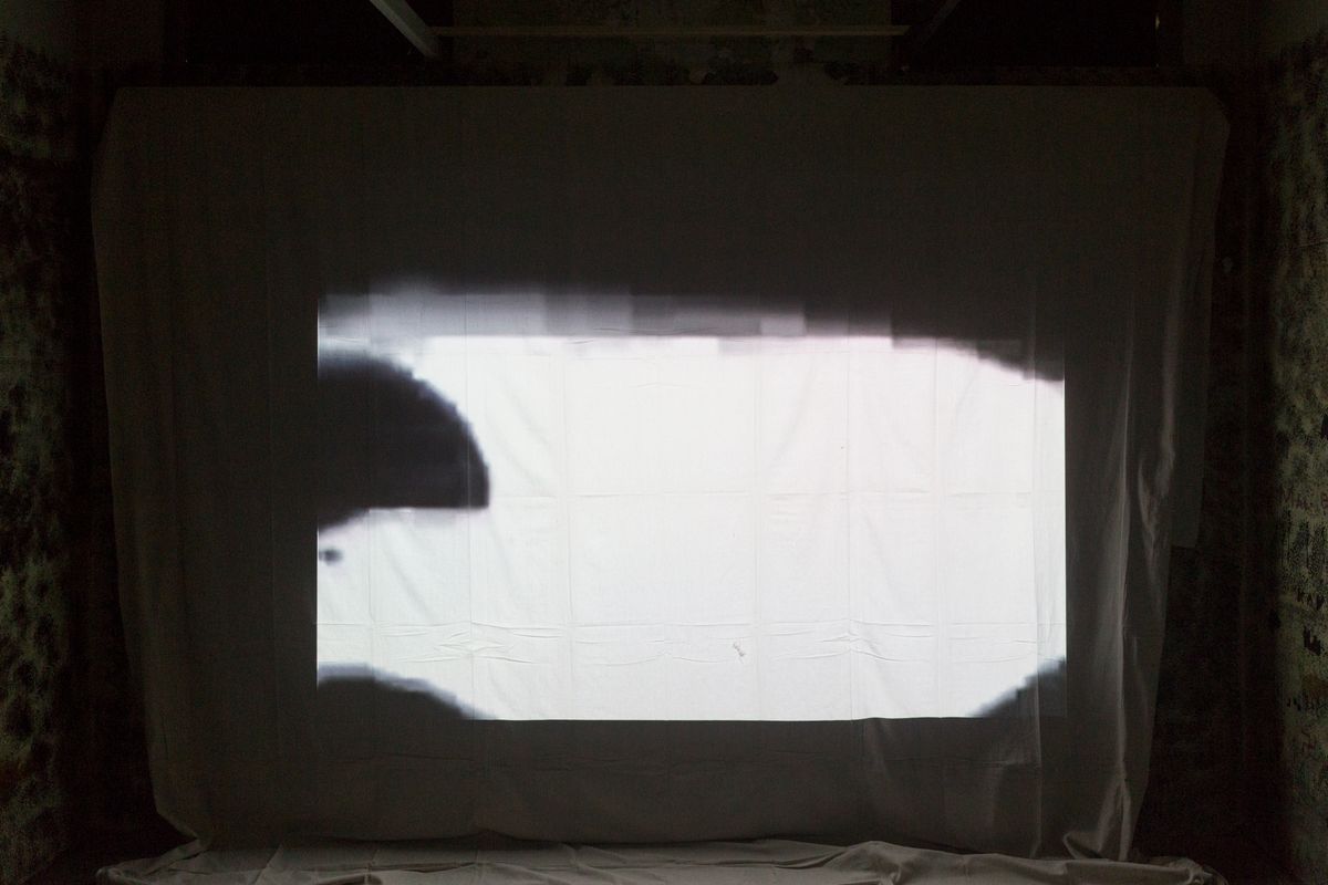 Judo house part 6 (the white bird)