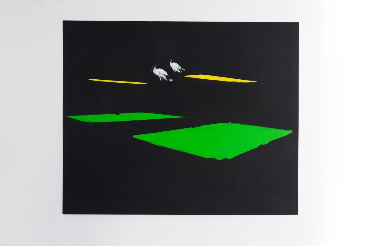 Judo house part 6 (the white bird)