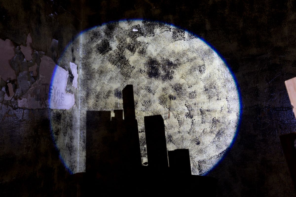 Judo house part 6 (the white bird)