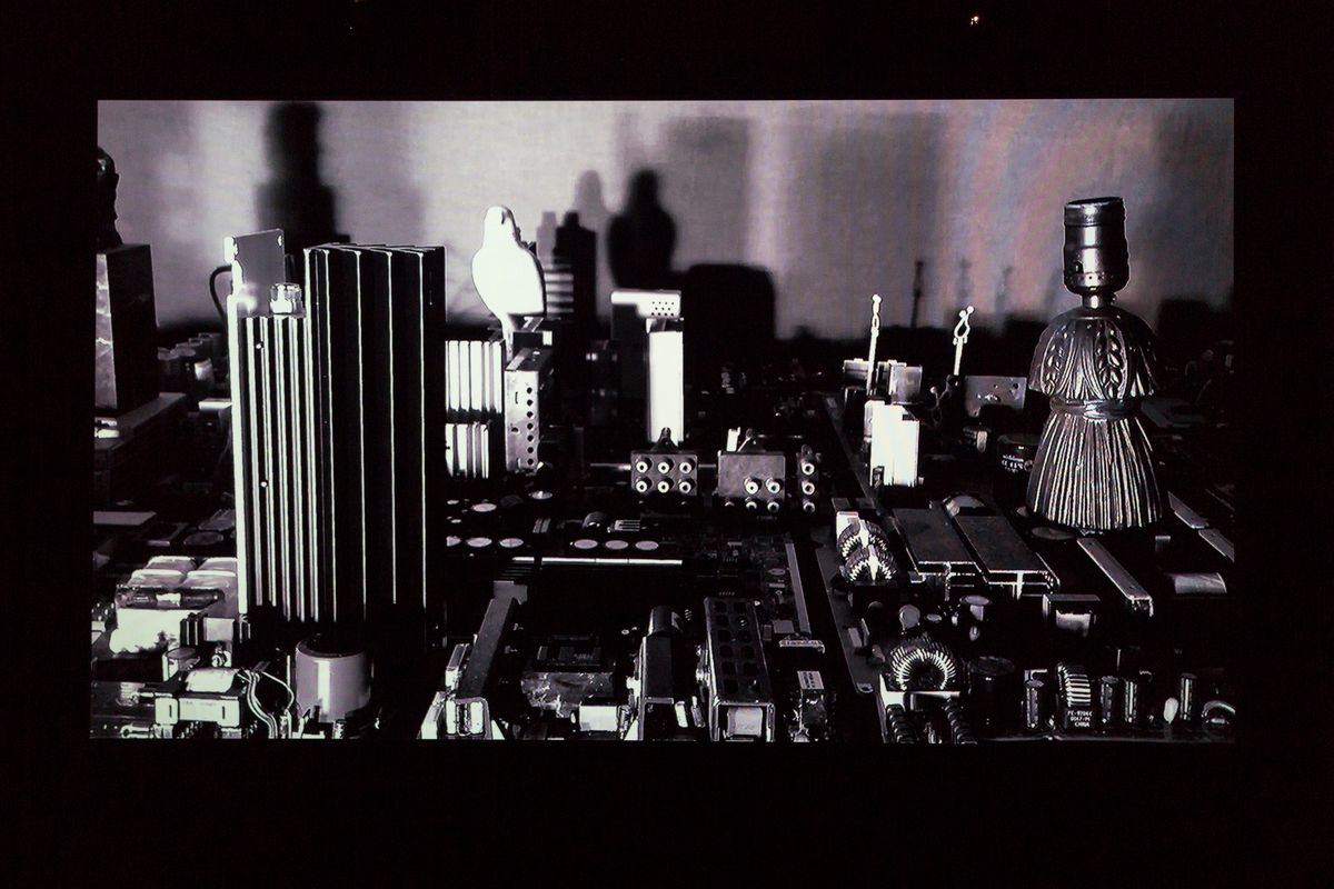 Judo house part 6 (the white bird)