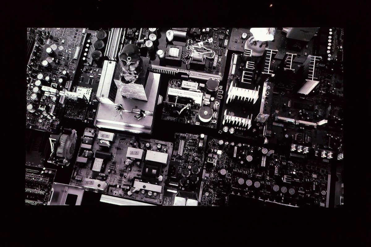 Judo house part 6 (the white bird)