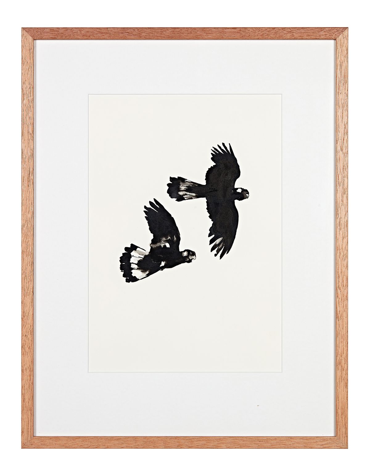 Judo house part 7 (the white light)