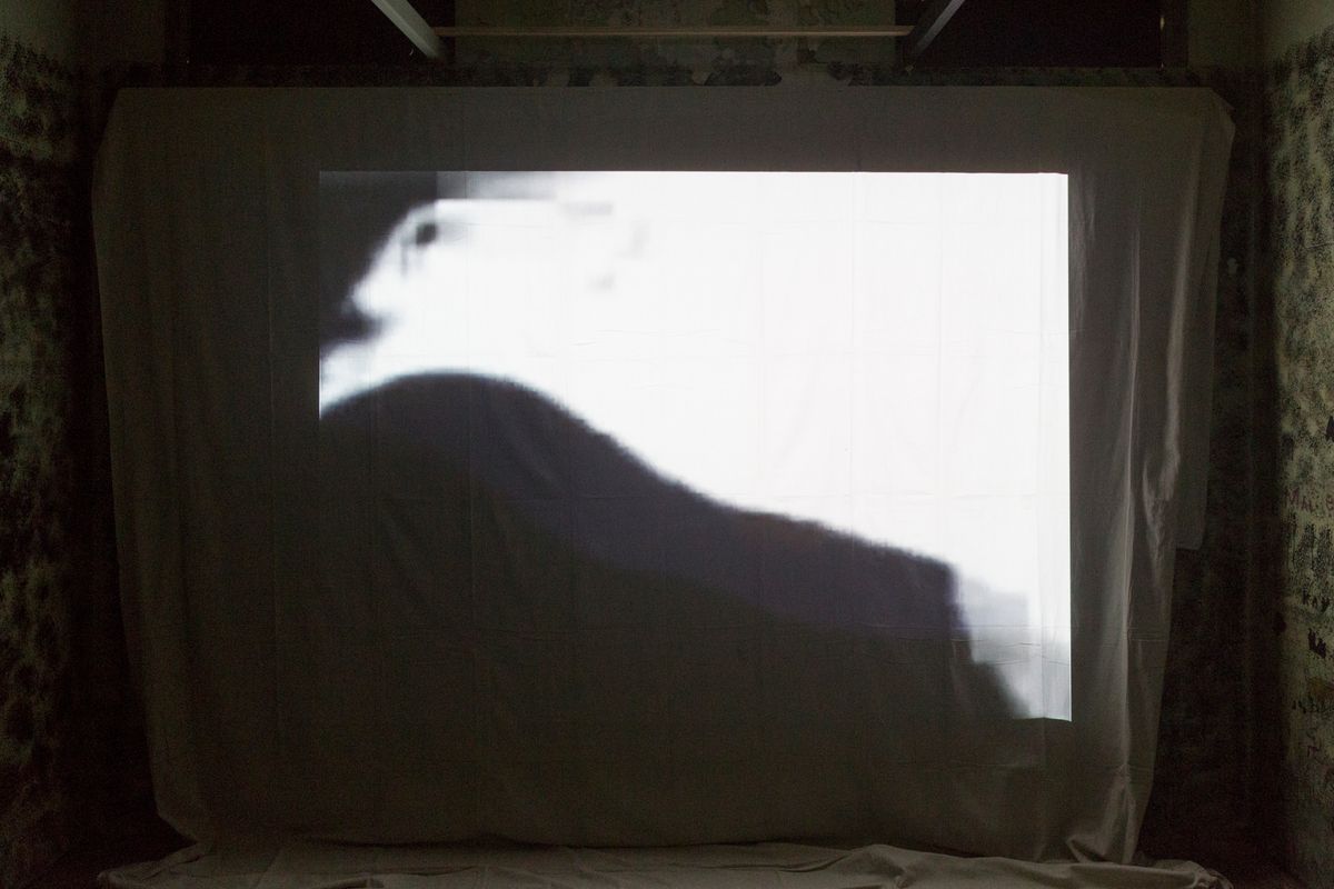 Judo house part 6 (the white bird)