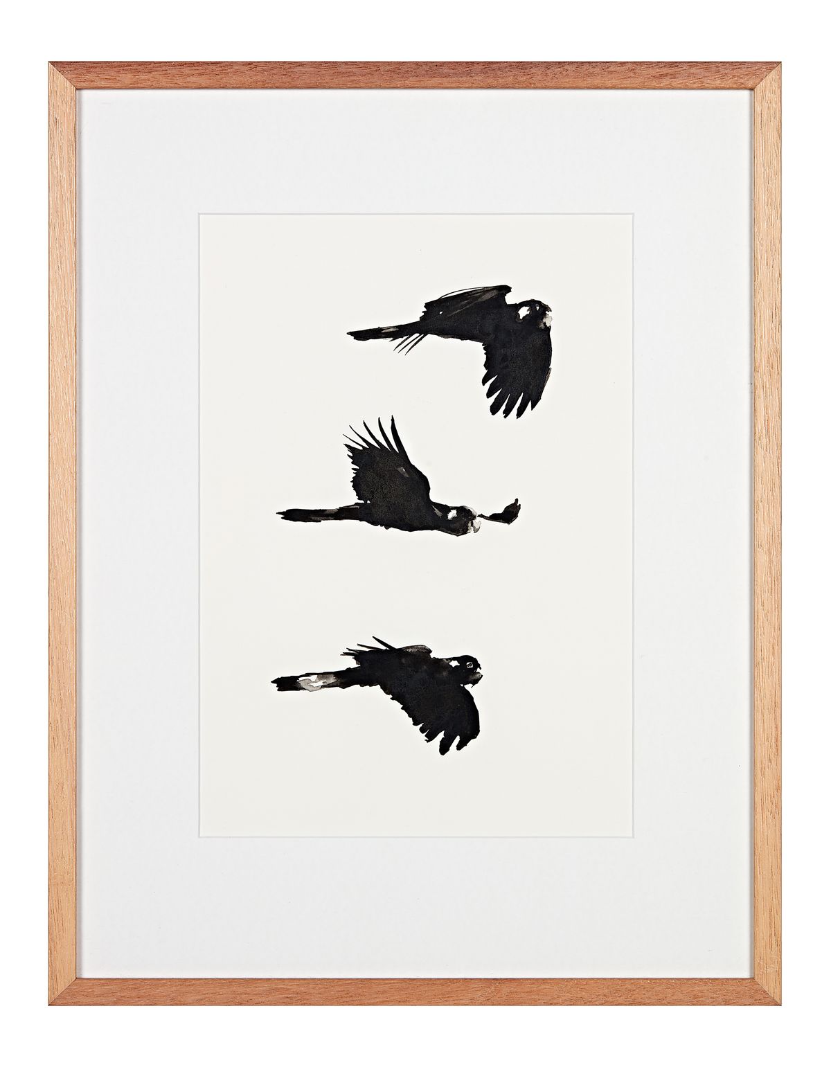 Judo house part 7 (the white light)