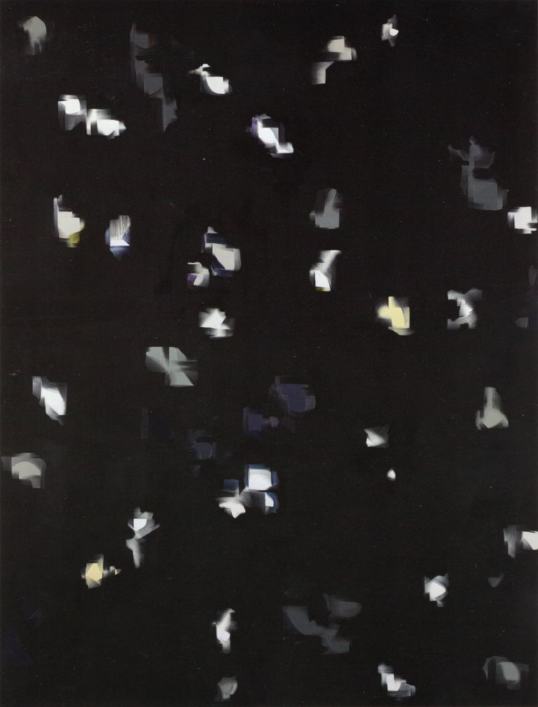 Nigel Milsom, Judo-House part 3 (bird as prophet), 2009